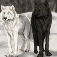 los-dos-lobos